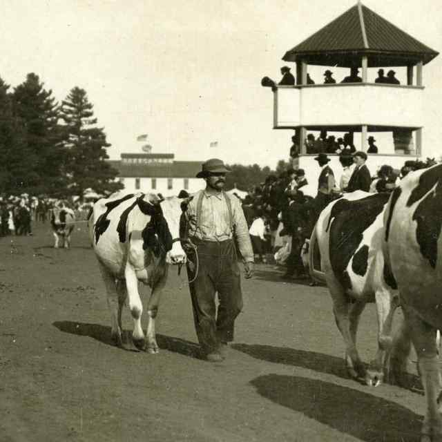 Marathon County Fair Lineup 2024 Mindy Sybille